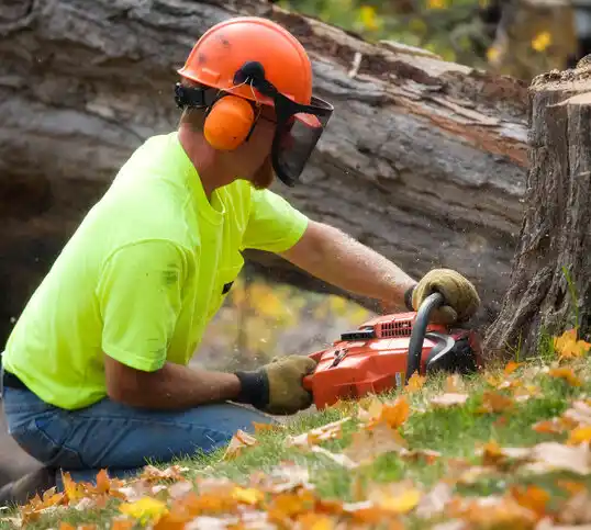 tree services Sloan